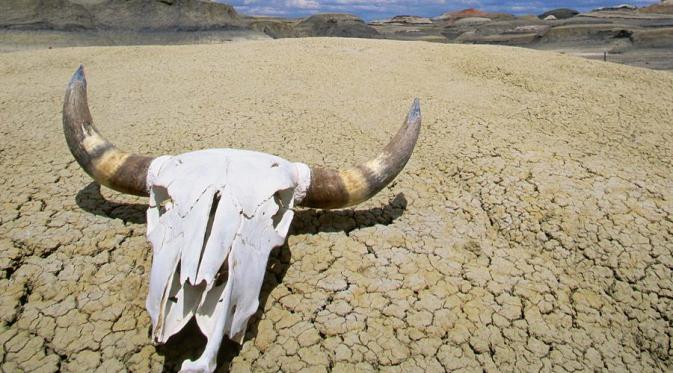 Death Valley juga termasuk tempat terpanas selain, gelombang panas di India