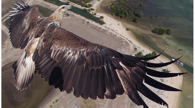 Drone Photography - Bird's Eye View (www.dronestagr.am)