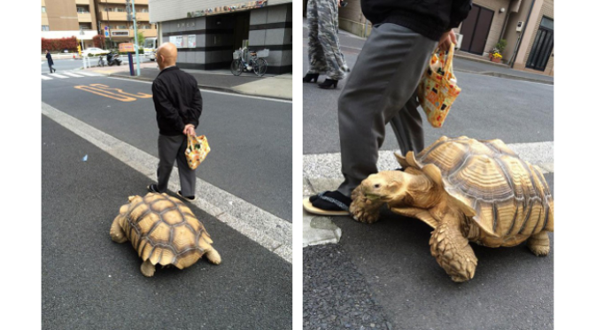 Bon-chan berjalan-jalan bersama ayahnya (foto: twitter)