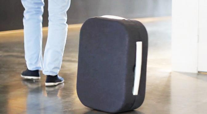 The Hop Luggage