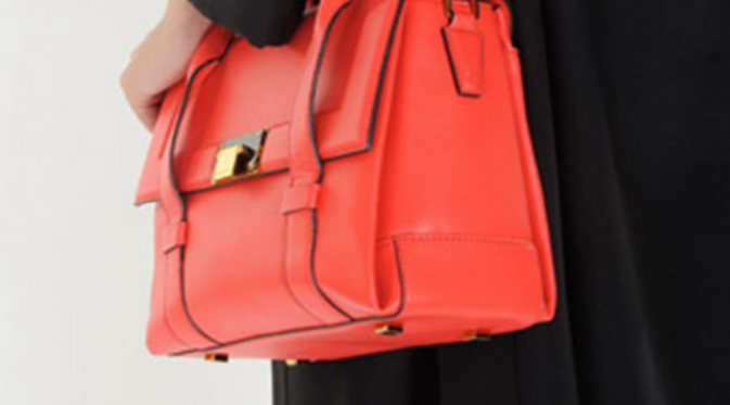 Charles and Keith Profesional satchel