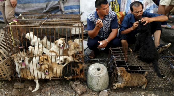 Festival makan anjing di Yulin. | via: ibtimes.co.uk