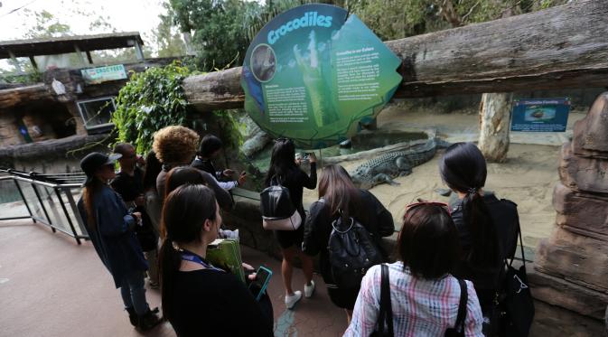 Shae bertemu buaya di Dreamworld, Gold Coast Australia (Nizar Zulmi/Bintang.com)