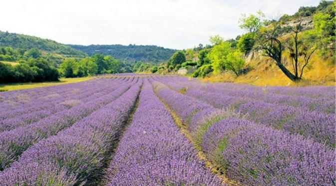 Grasse, Perancis. | via: blog.savoirfaireparis.com