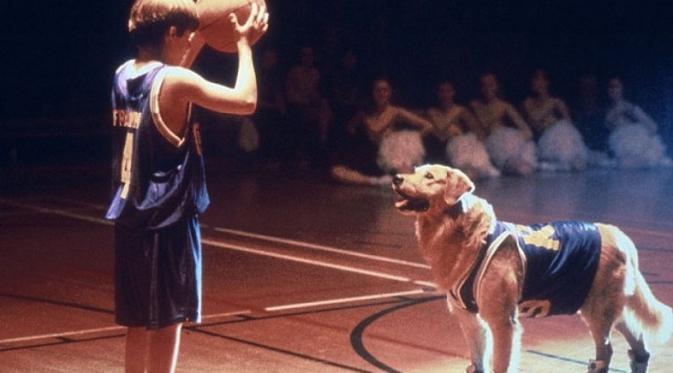 Film Air Bud. Foto: Screenrant