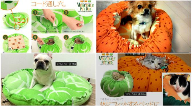 PetBed, kasur berbentuk buah-buahan dan sayuran untuk menghangatkan kucing/anjing kesayangan Anda. (Rocket News)