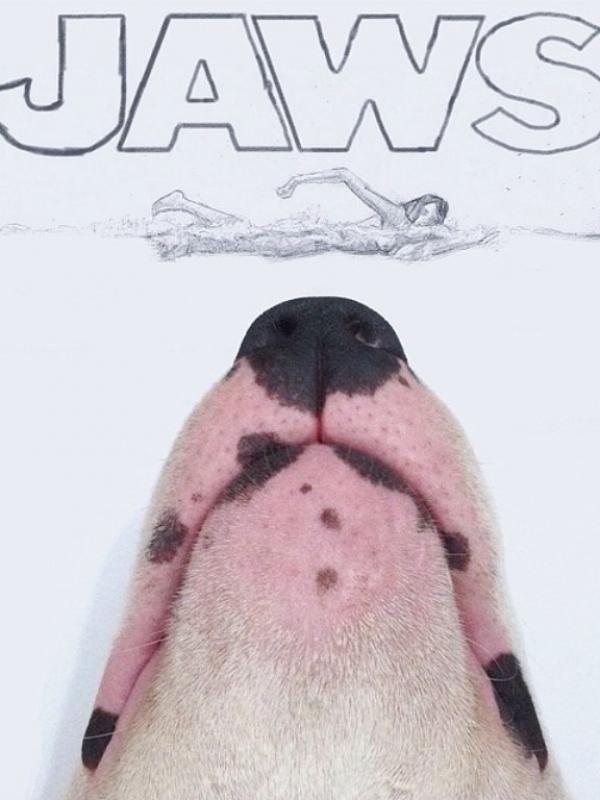 JAWS (Via: 9gag.com)