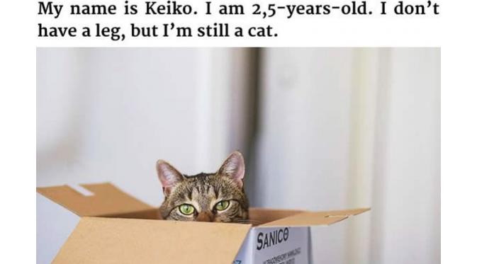 Keiko (Via: 9gag.com)