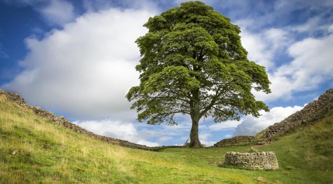 Hadrian's Wall (Via: shutterstock.com)