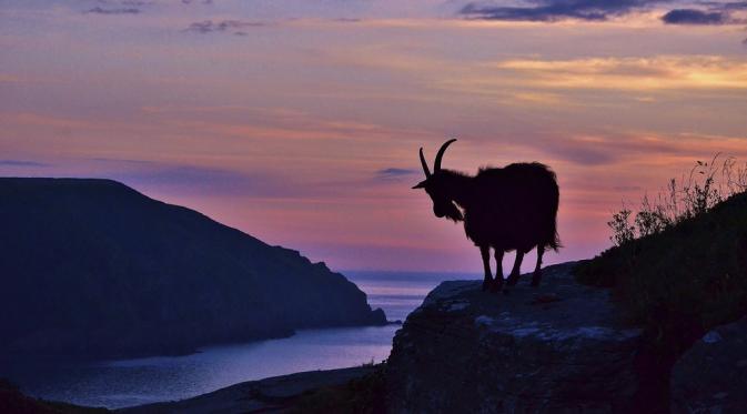 Exmoor National Park (Via: shutterstock.com)