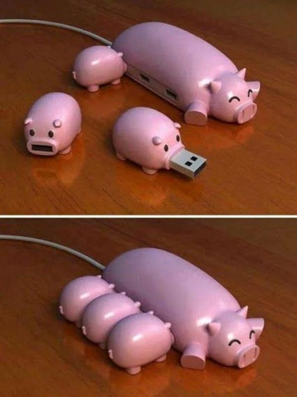 Flash Disk Babi Menyusui | Via: lolsnaps.com