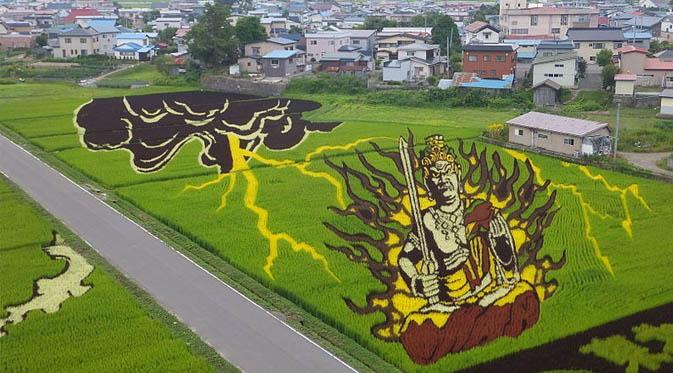 Canggih, Petani Jepang Ubah Sawah Menjadi Lukisan Indah - Citizen6  Liputan6.com