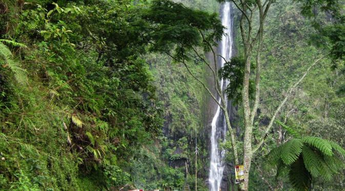 Potret Keindahan Air Terjun Sedudo Sebelum Longsor. | via: panoramio.com