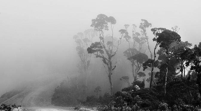 Terkukung Pegunungan, Beginilah Eksotisme Tolikara. | via: flickr.com