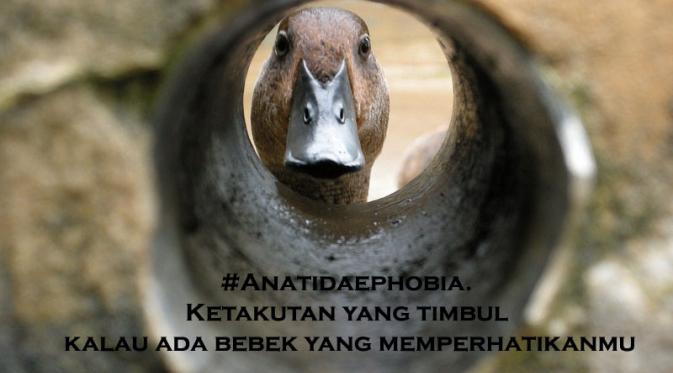 Takut pada bebek yang tengah melihatmu | Dok.Bintang.com/Ardini Maharani