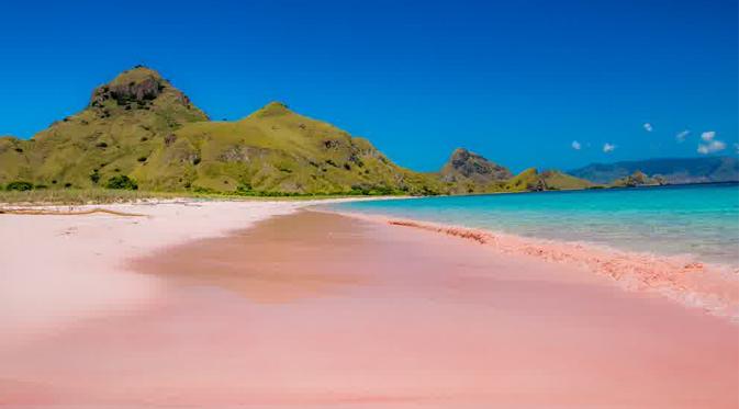 Mungkin anda bertanya tanya, apa benar ada pantai yang mempunyai pasir warna pink? 
