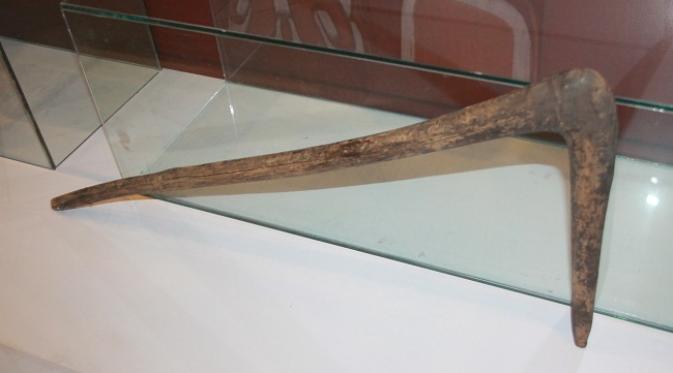 Senjata tradisional Suku Asmat.