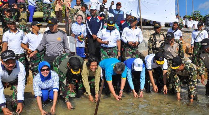 Pelepasan tukik oleh Batalyon Marinir Pertahanan Pangkalan IV Tanjung Pinang, dalam rangka penanaman terumbu karang tahap kedua di KM 46 Bintan, Riau. (Liputan6.com/Marinir)