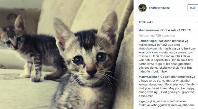 Shaheer Sheikh rupanya menyukai kucing (Instagram)