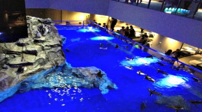 Sumida Aquarium dijadikan rumah yang nyaman bagi berbagai penguin dan anjing laut.