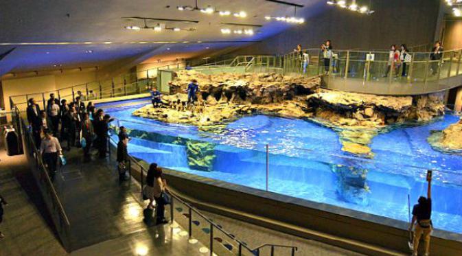 Tak hanya untuk menikmati biota laut saja, Sumida Aquarium dilengkapi fasilitas keren yang bersifat edukasi 