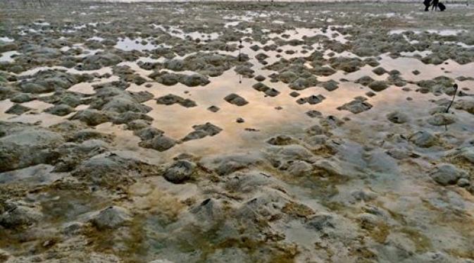 Padang pasir putih di Pantai Pasir Perawan, Pulau Pari. | via: facebook.com