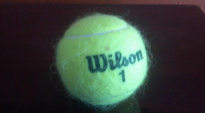 Bola tenis bekas. (Via: heidisoldhouse.blogspot.com)