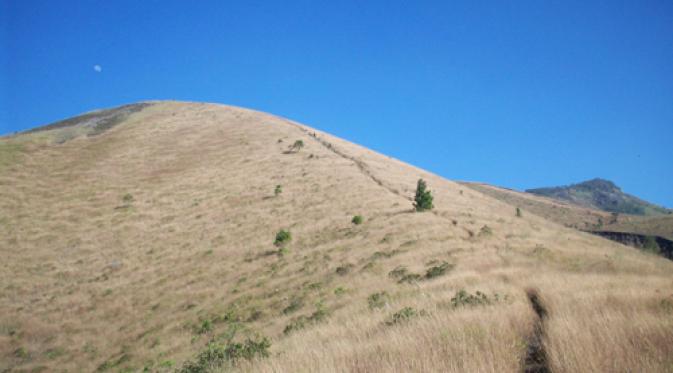 Savana Gunung Guntur. | via: kurniadiprastowo.wordpress.com