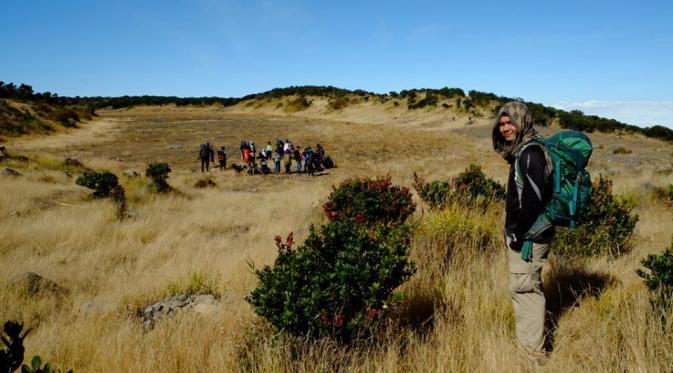 Savana Gunung Sindoro. | via: alidesta.wordpress.com