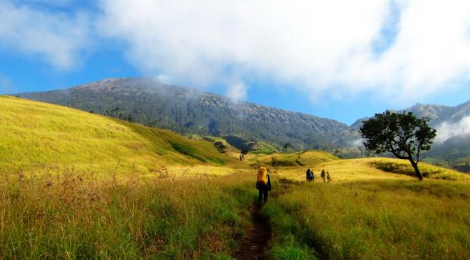 Savana Sembalun Gunung Rinjani. | via: alidesta.wordpress.com