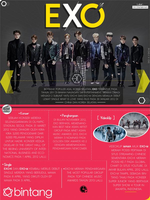 Infografis Musik Bio  Exo 2 [Muhammad Iqbal Nurfajri/Bintang.com]