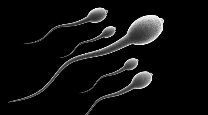 Ternyata selain membuahi sel telur,  sperma juga memiliki banyak manfaat kesehatan buat cewek. 