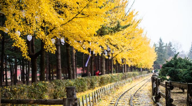 8 Hal di Korea Selatan yang Rugi Kalau Sampai Kamu Lewatkan. | via: studiolumiere.net