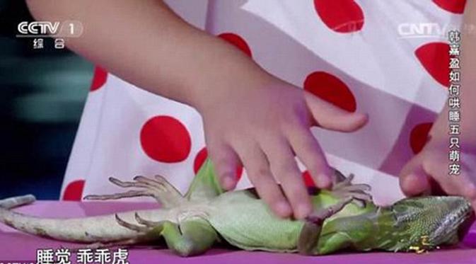  Meski masih sangat belia, gadis yang bersaal dari Shenyang, China ini mempunyai kekuatan hebat: bisa menghipnotis para binatang.