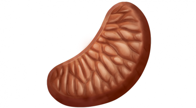 Bentuk coklat terbaru yang unik dari Cadbury