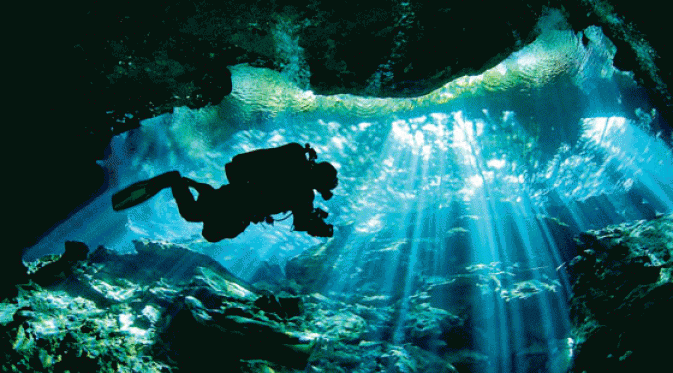 Tempat-tempat untuk Merasakan Petualangan Bawah Air yang Unik. | via: alertdiver.com