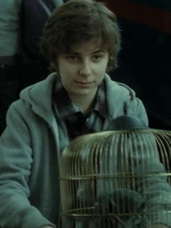 James Sirius Potter, putra pertama Harry Potter. (it.harrypotter.wikia.com)