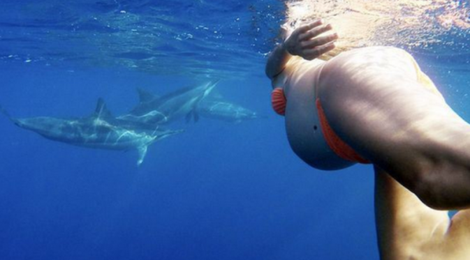Ia ingin lahirkan layaknya lumba-lumba. Namun para ahli peringatkan risiko diserang hewan laut, termasuk lumba-lumba. 