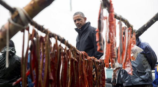 Menjelajah Arktik Layaknya Presiden Amerika Serikat, Barack Obama. | via: Andrew Harnik/AP