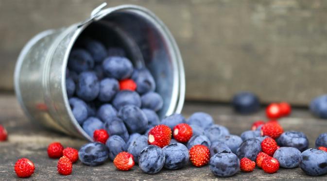 Para peneliti mendapati bahwa ekstrak bluberry bisa mencegah timbulnya plak pada gigi dan mengobati penyakit gusi. 