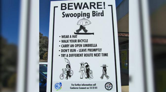 20150905 Canberra Bunuhi Burung Asli Australia-tanda hati-hati terhadap sambaran burung (Sidney Morning Herald)