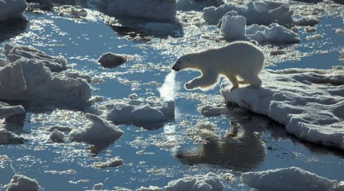 10 Bukti Kutub Juga Punya Pesona di Celah Dinding-dinding Es. | via: National Geographic/Paul Nicklen