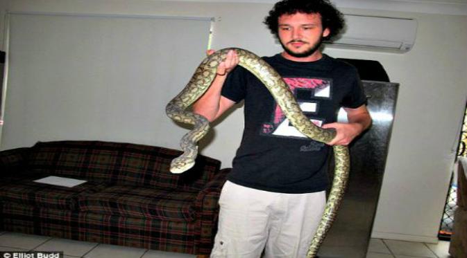 Elliot Budd berhasil menangkap ular piton 3 meter