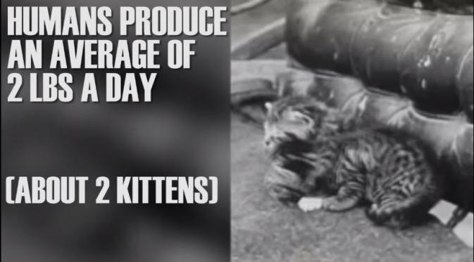 Rata-rata, manusia bisa mengeluarkan kotoran sebanyak 1 kilogram per hari. Seberat 2 anak kucing. (Via: youtube.com/BuzzfeedVideo)