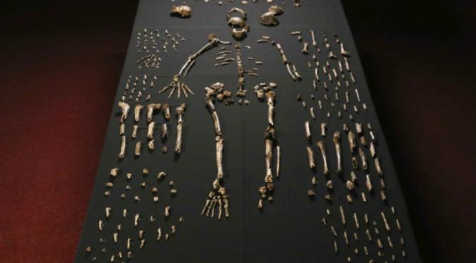 hasil temuan sekelompok tulang di bagian gua yang sukar dijangkau, di situs fosil manusia purba Afrika Selatan.