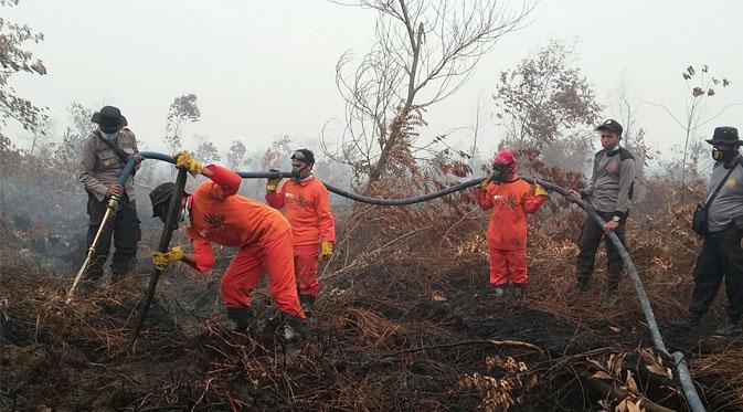 Lahan yang terbakar merupakan lahan gambut dengan kadar tanah hanya sekitar 30% saja.