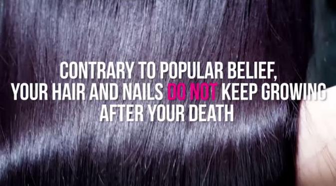 Berbeda dengan kepercayaan umum, rambut dan kuku tidak terus tumbuh setelah kamu mati. (Via: youtube.com)