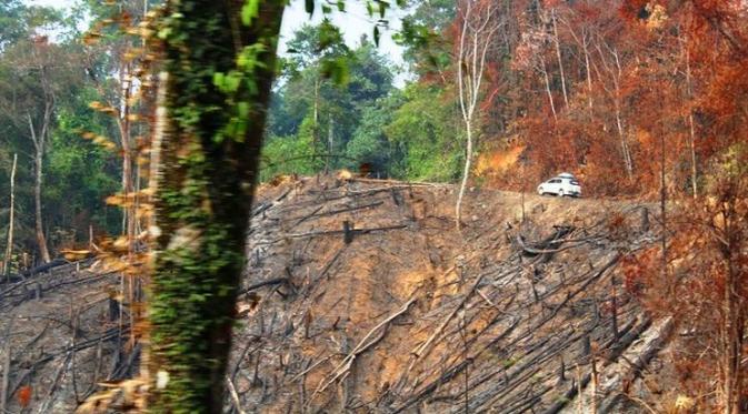 New Terios melintasi jalan sempit di antara hutan yang terbakar di tanah Borneo.