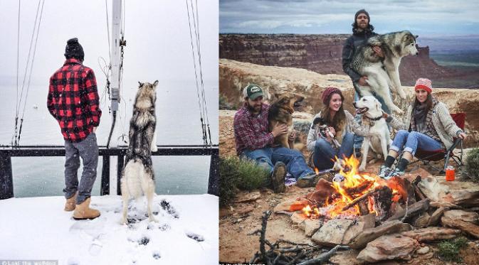 Loki sesekali bertemu dengan kawan-kawan sesama ajing yang berukuran lebih mungil darinya. (foto: Instagram.com/Loki_the_wolfdog)