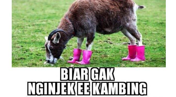 Takut injak eek kambing. (Via: animasimeme.com)